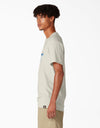 Dickies Skateboarding Break Out Graphic T-Shirt - Oatmeal Heather all cloathing products all men clothing products klaviyo MEN t-shirts TEMP