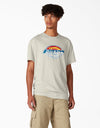 Dickies Skateboarding Break Out Graphic T-Shirt - Oatmeal Heather all cloathing products all men clothing products klaviyo MEN t-shirts TEMP